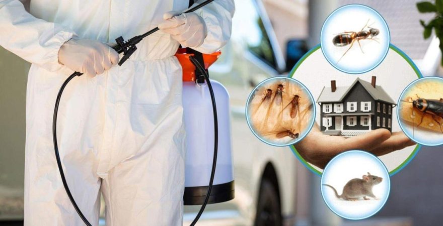 Korkuteli Böcek İlaçlama