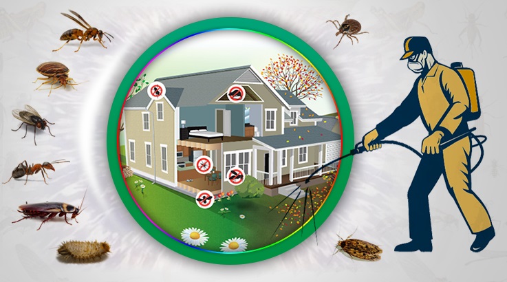 Korkuteli Böcek İlaçlama