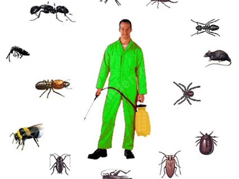 Korkuteli Böcek İlaçlama